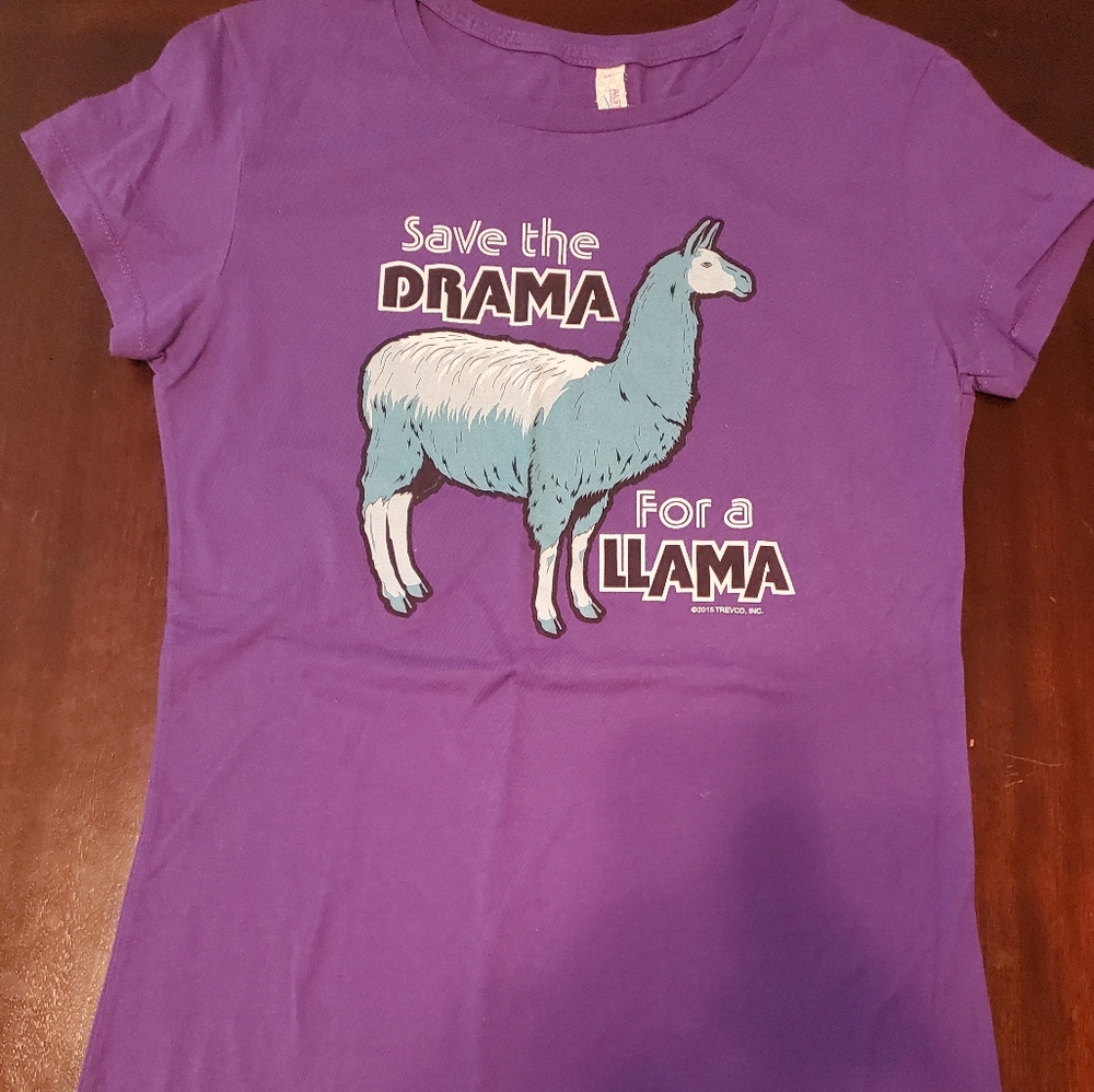 Alstyle Save the Drama for a llama XL shirt